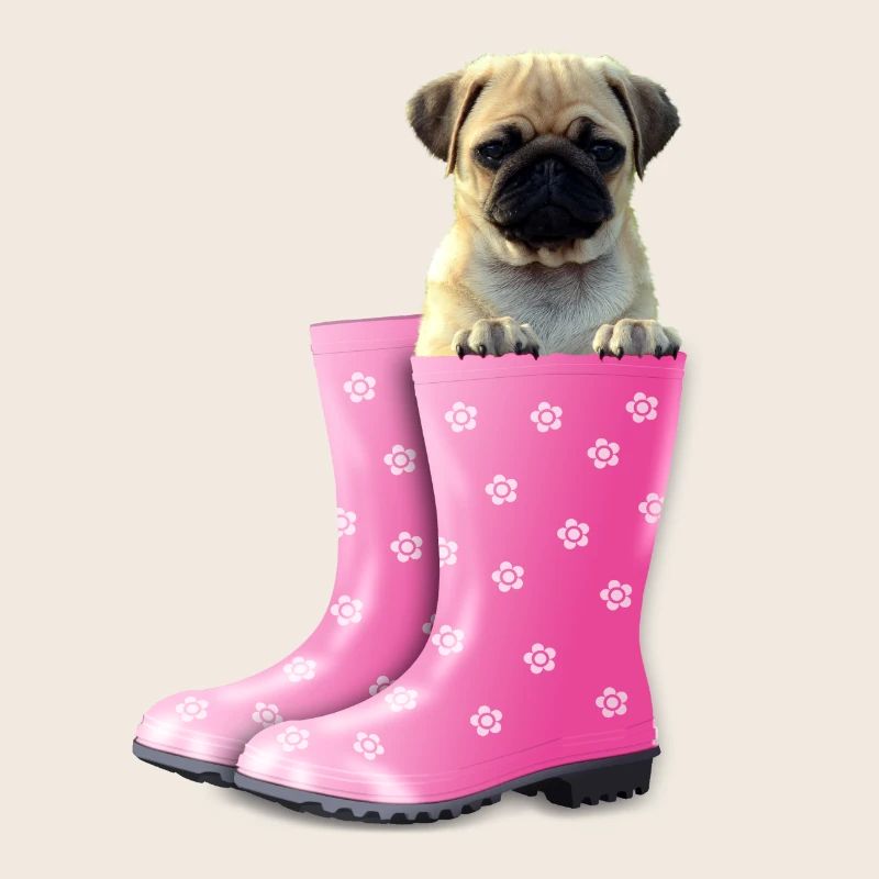 Mops