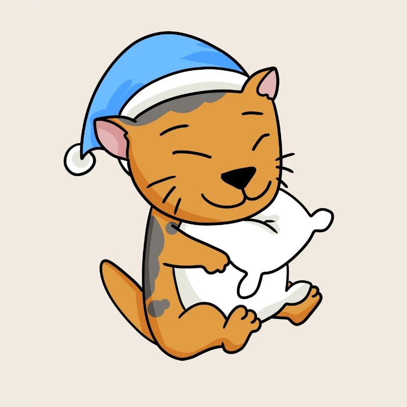 Cat Cat Breed Scottish Folding Ear Cat