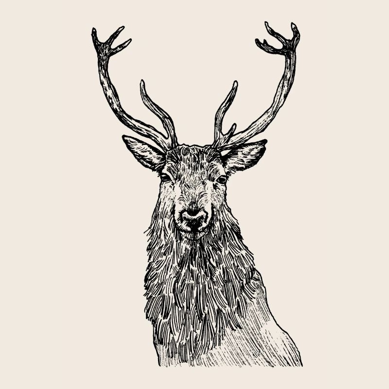 Würdevoller Hirsch