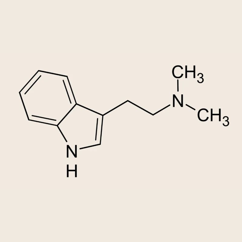 DMT dimethyltryptamine structural formula