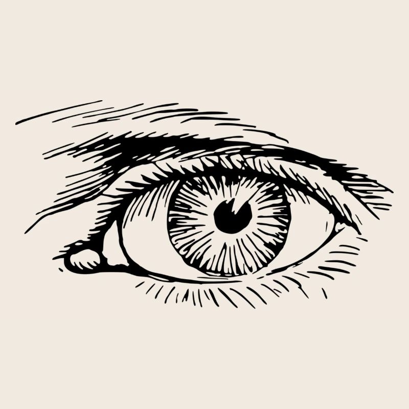 œil
