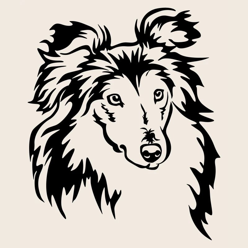 Sheltie Head