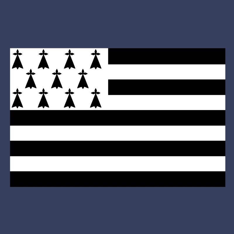 Drapeau Bretagne - Gwenn ha du