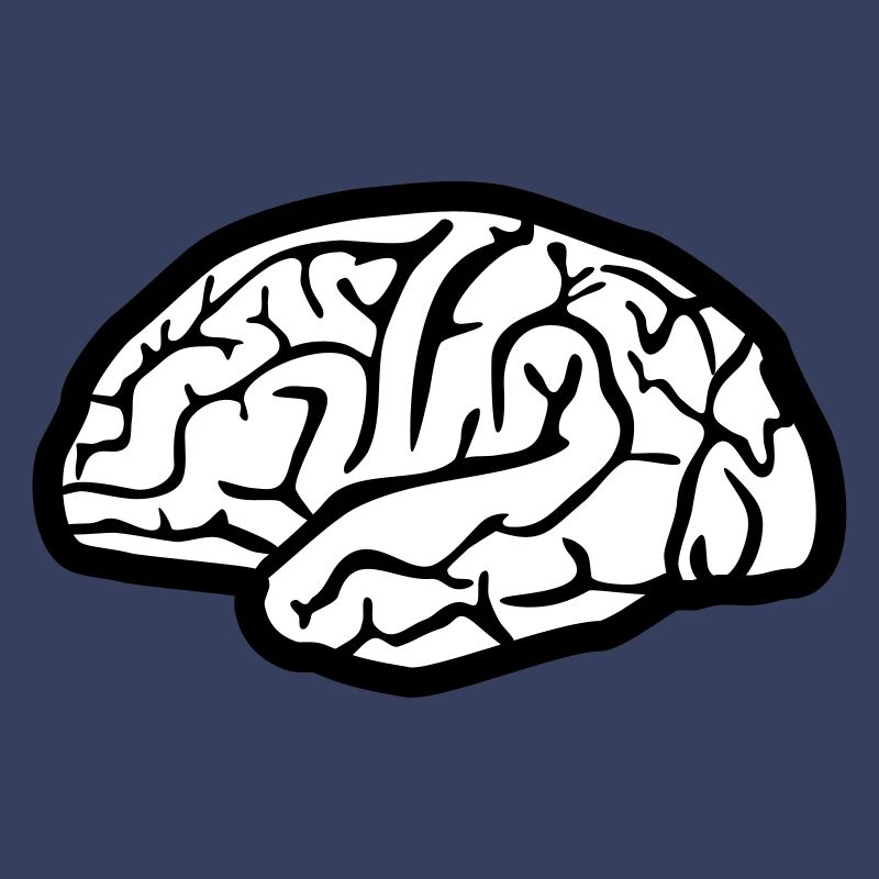 Brain