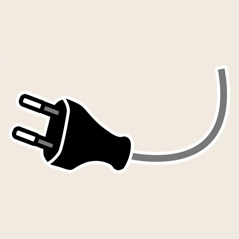 Plug