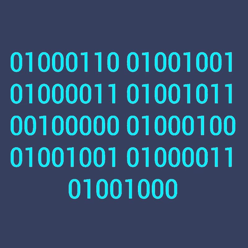 BINARY CODE / BINARY CODE F**K YOU GIFT IDEA