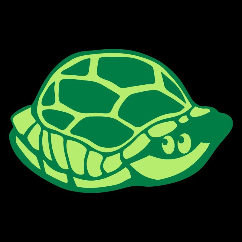 Animal carapace turtle 2805