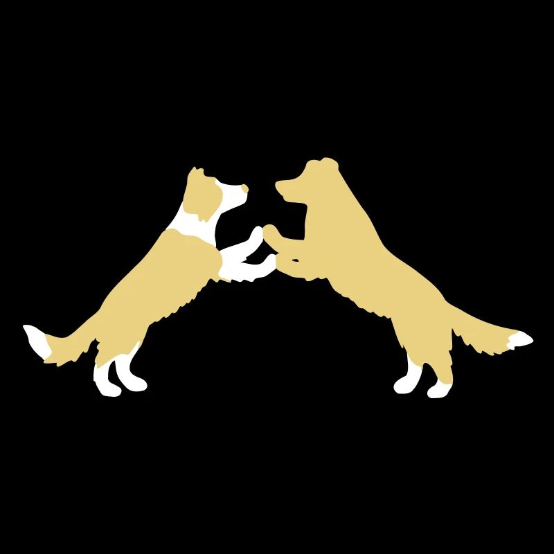 dog dancing Border Collies