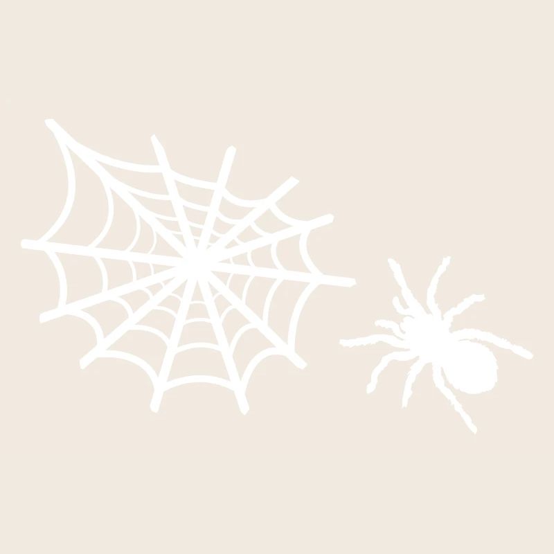 spider spider web