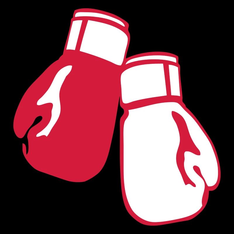 gant de boxe sport 12