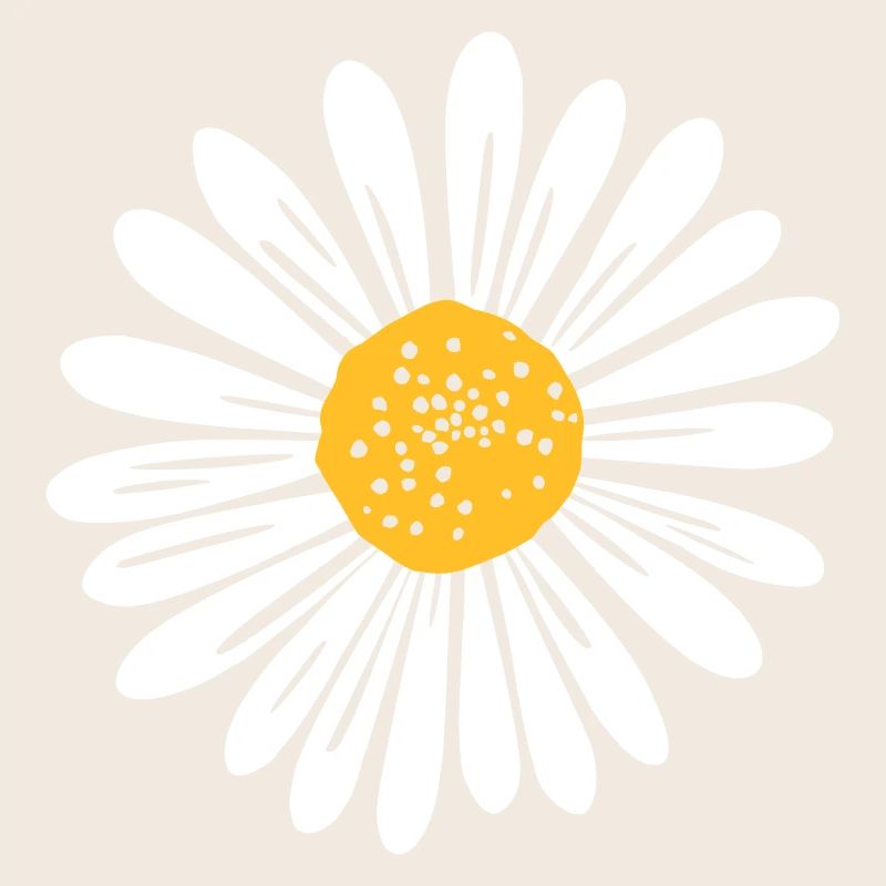 Gänseblume