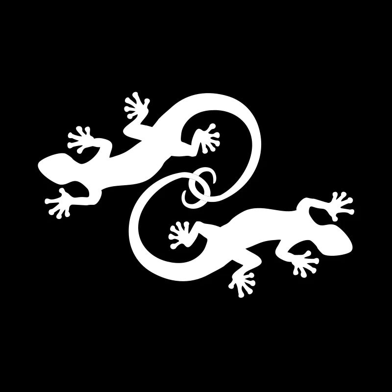 BALI - GECKO TWINS