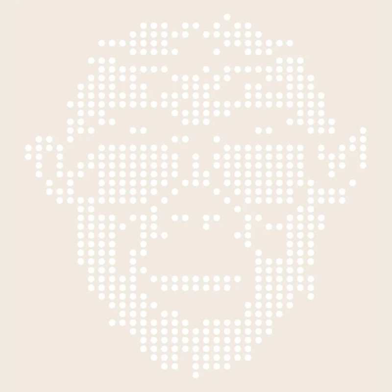 Monkey with Sunglass Pixel design