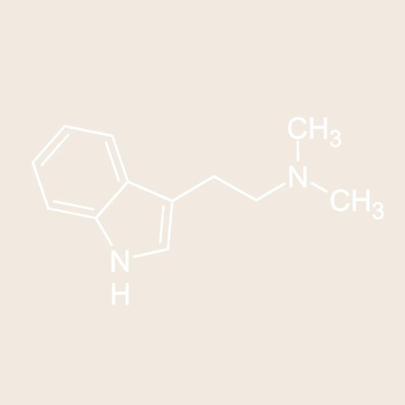 Dmt
