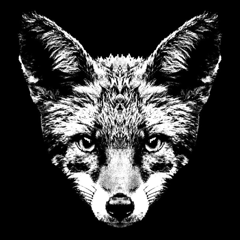 Fuchs / Fox / Kopf / Rotfuchs