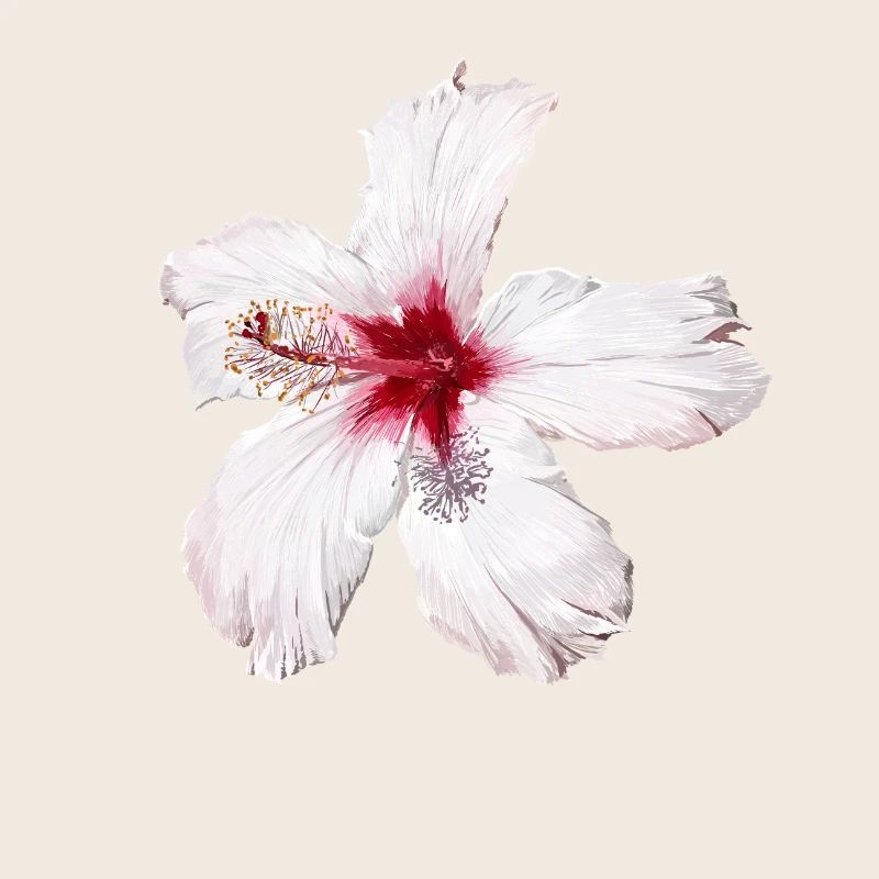 Fleur