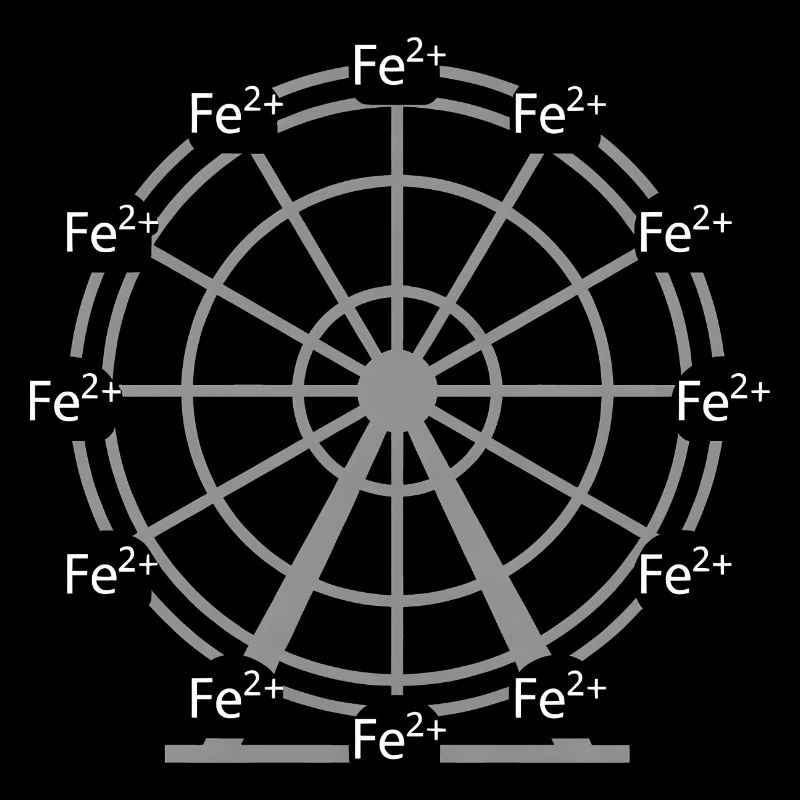 Conception scientifique de la chimie des ions Fer-ferreux Fe2+
