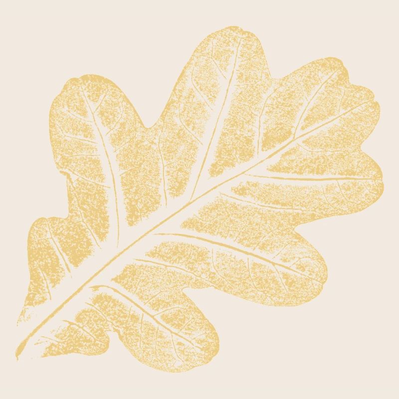 Blatt Eiche / Eichenblatt - Natur Design