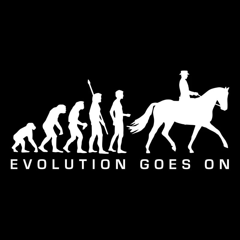 evolution_reiter_b