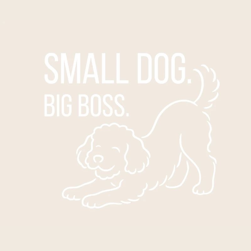 Zwergpudel, Malti-poo oder Königspudel 