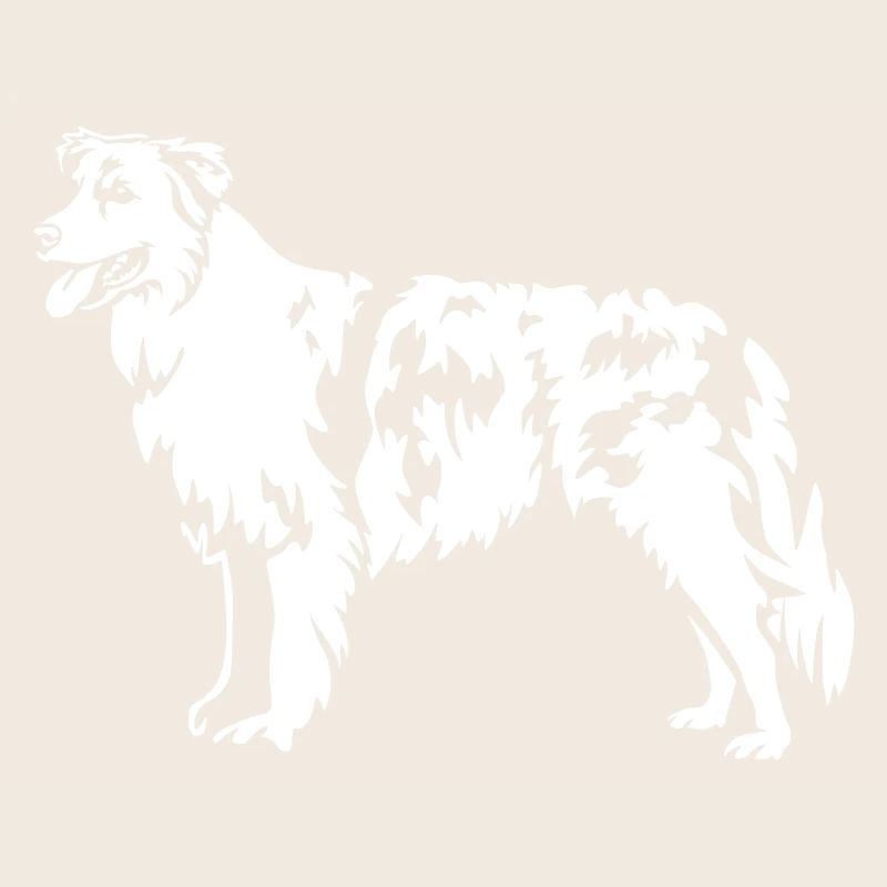 Australian Shepherd "Black Edition"