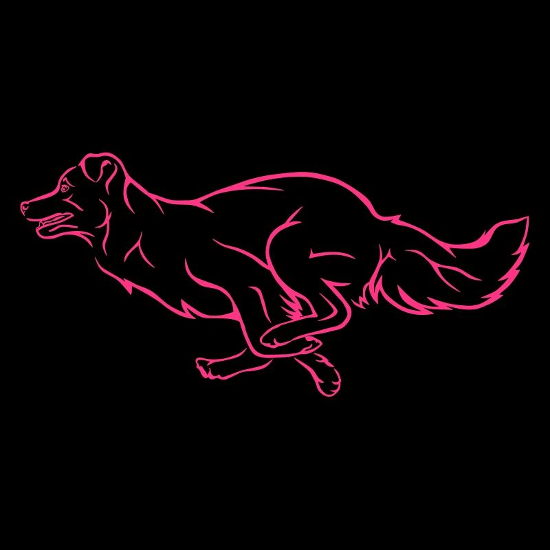 Running Dog - Agility