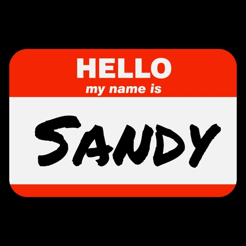 Hello My Name Is Sandy Label Name Tag