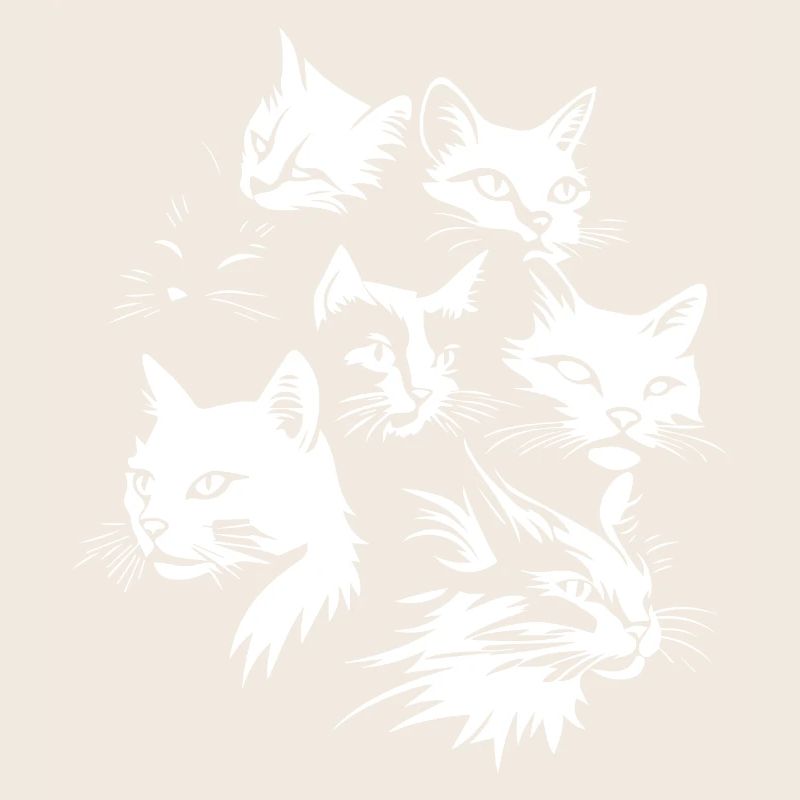 Équipe Cat