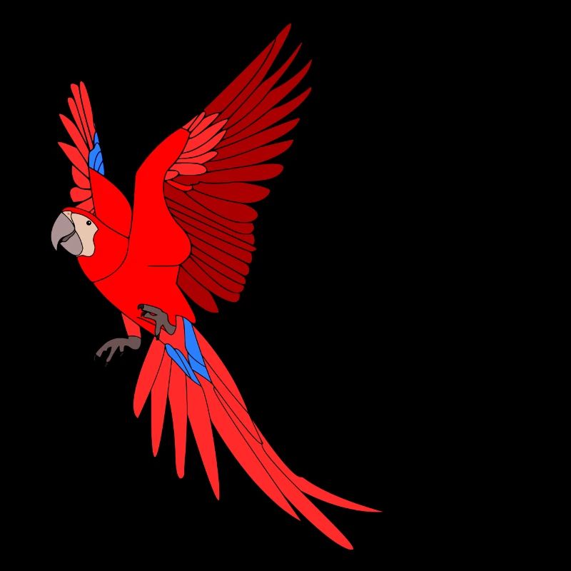 Papagei