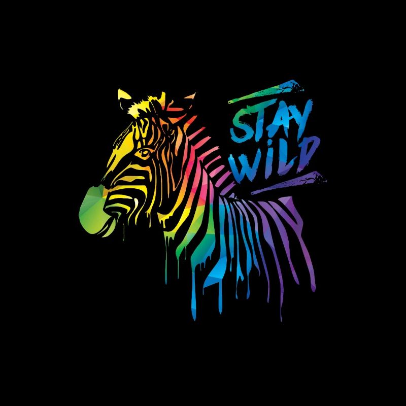 Zebra Boom!