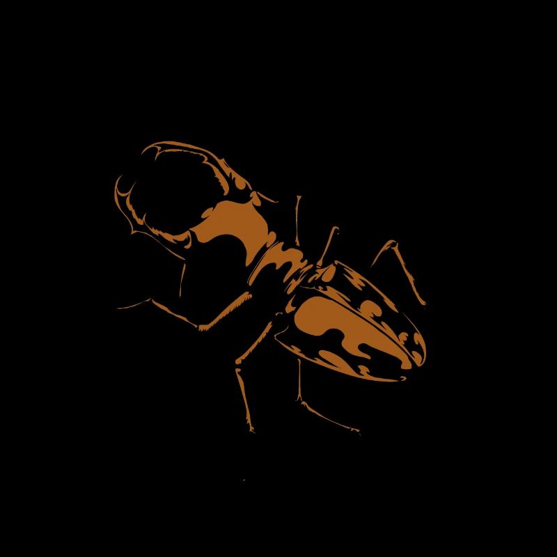 Stag beetle insect insects antlers insects