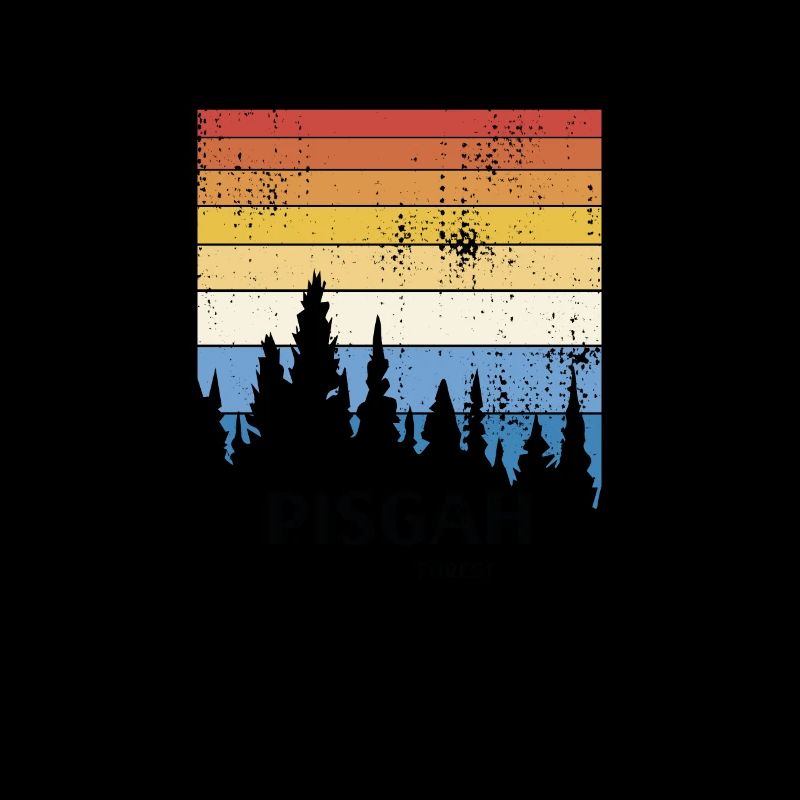 Forêt nationale de Pisgah