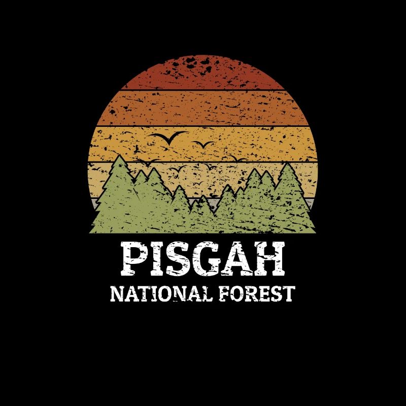 Forêt nationale de Pisgah