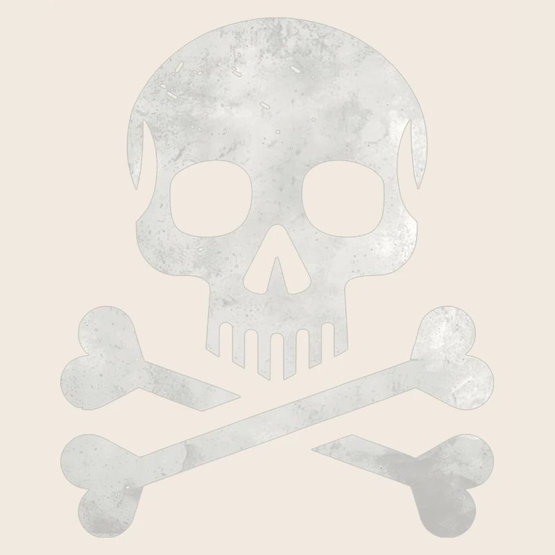 Skull Crossbones Skeleton Pirate