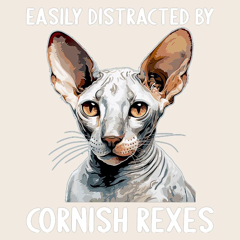 Cornish Rex Facilement distrait par les Cornish Rex