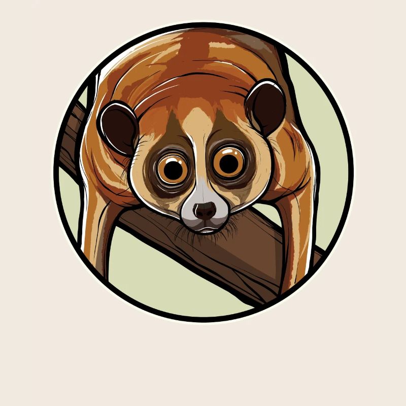 Plumploris Loris