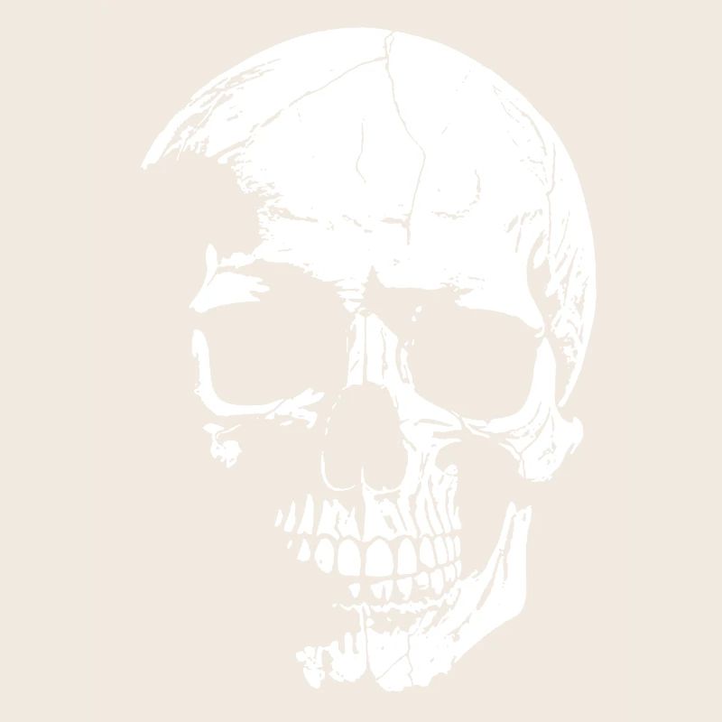 Skull High-Contrast Graphics