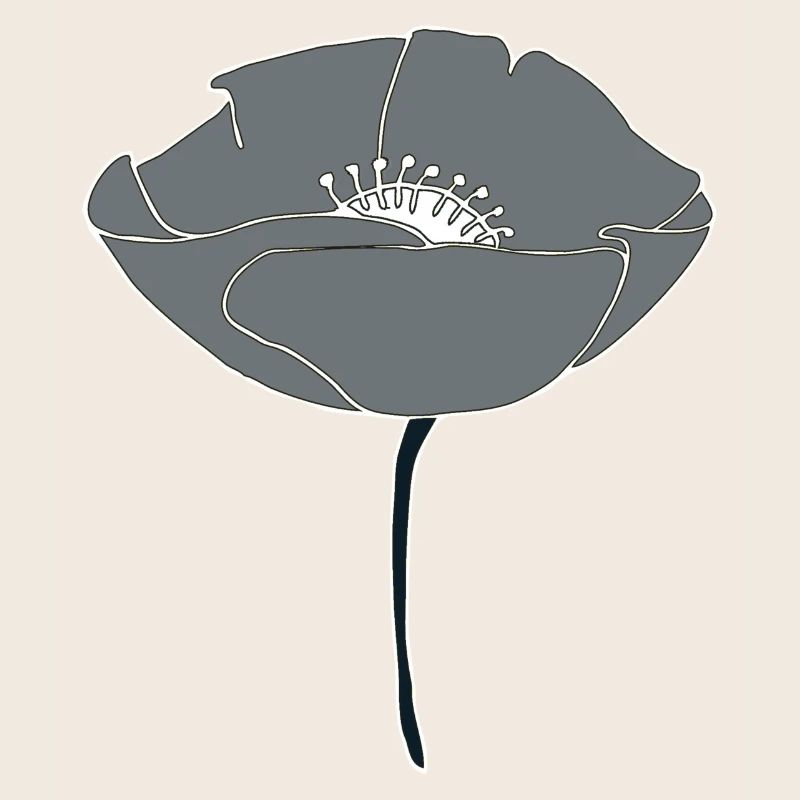 mohnblume grau