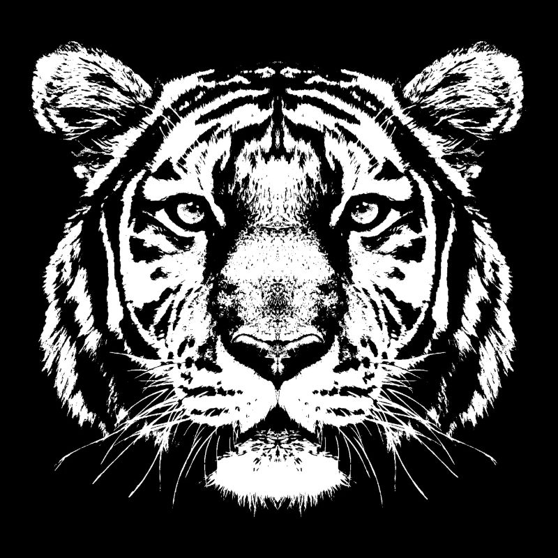 Tiger Kopf Portrait