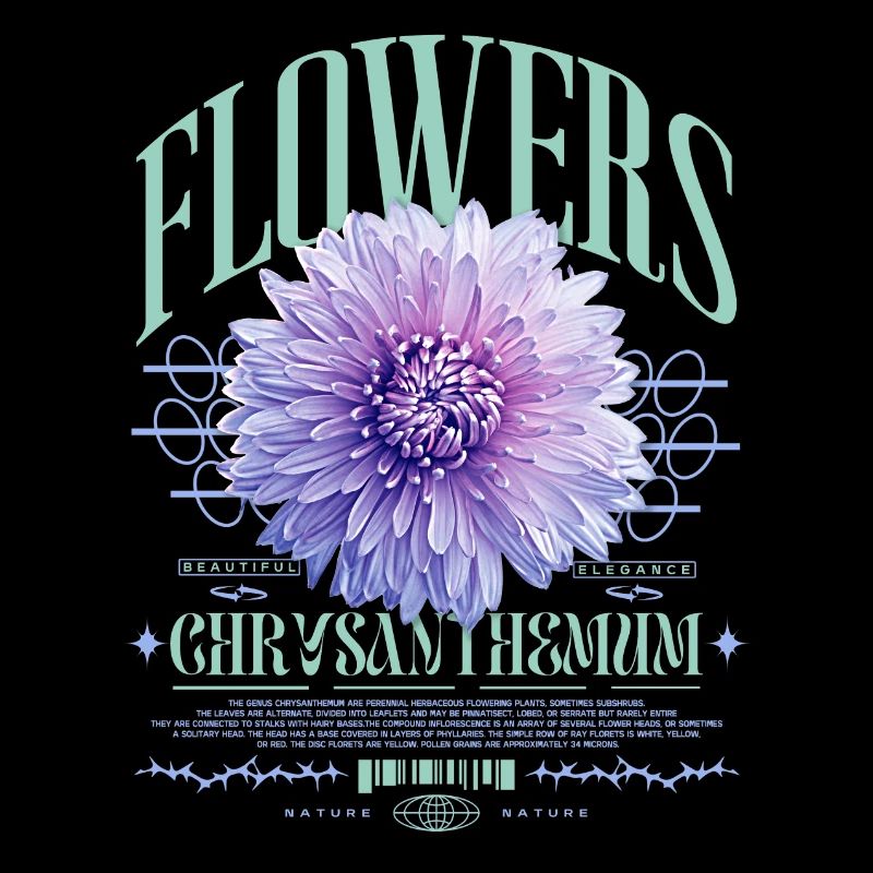 Chrysantheme Chrysanthemen