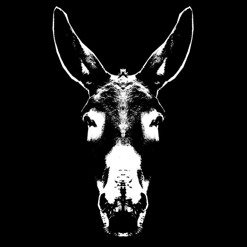 Donkey / Head / Portrait