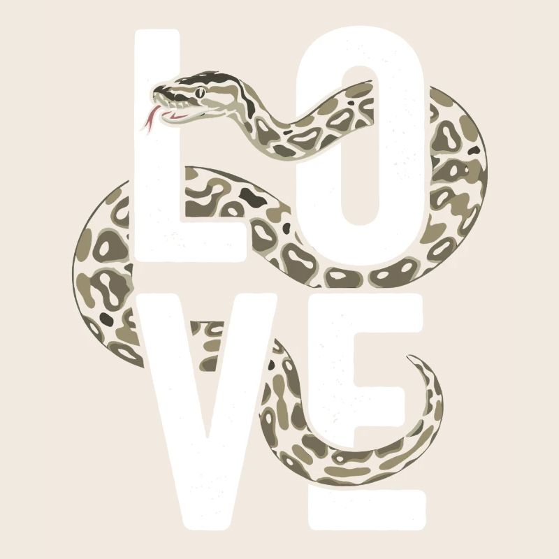 Königspython Schlangen LOVE Terrarium Python