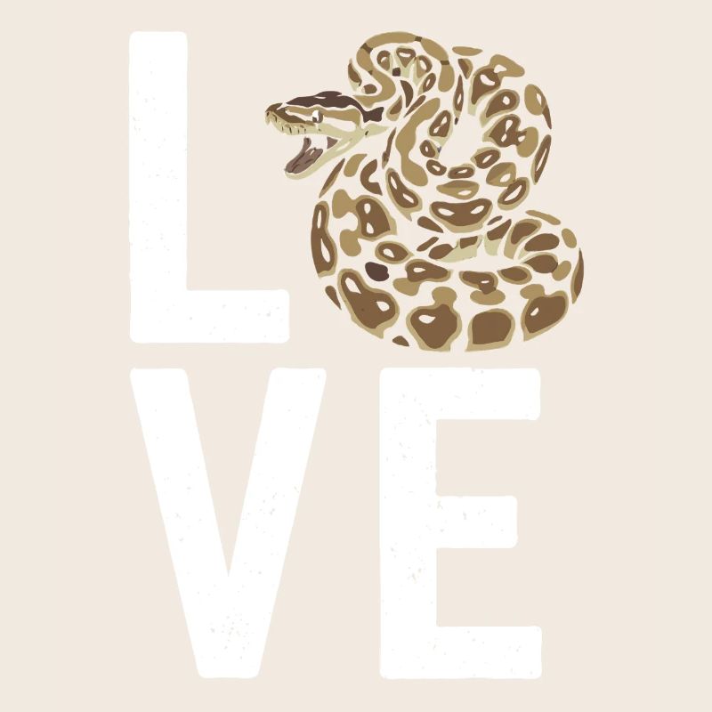 Königspython Schlangen LOVE Terrarium Python