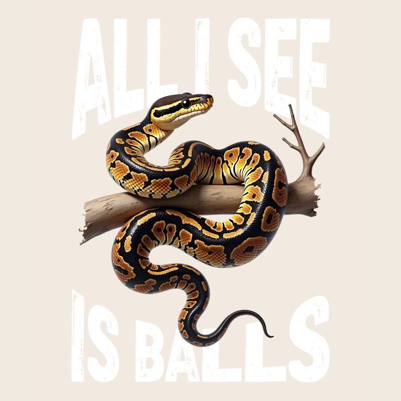 Python roi Serpents Amateurs de terrarium Python