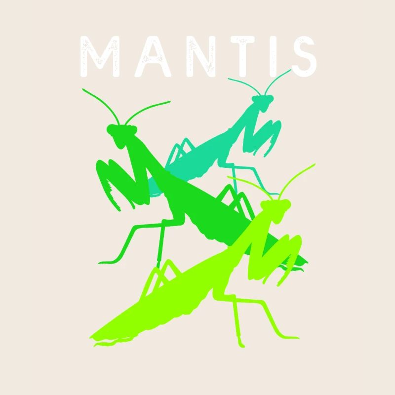 Gottesanbeter Gottesanbeterin Mantis