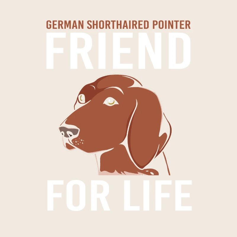 German Pointer Dog German Shorthair