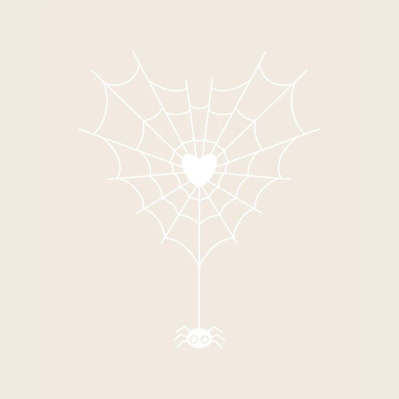 Spider in spider web