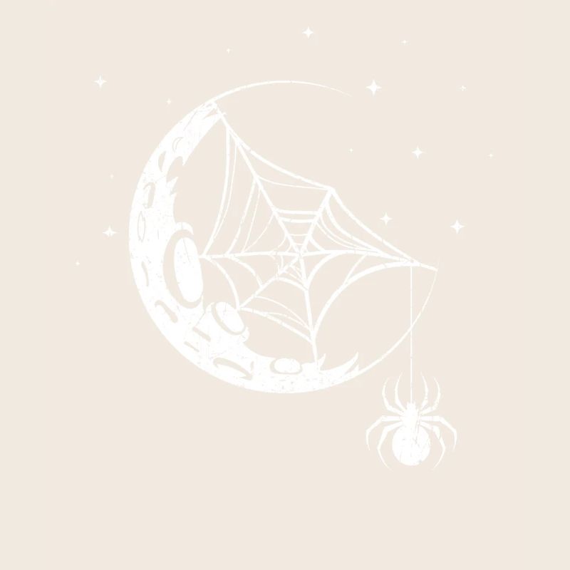 Spider Spider Web