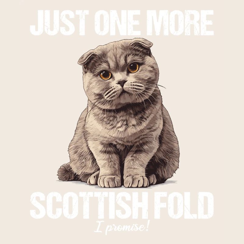 Scottish Fold Kätzchen Scottish Fold Katze