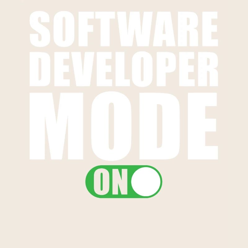 Software Entwickler Modus Ein